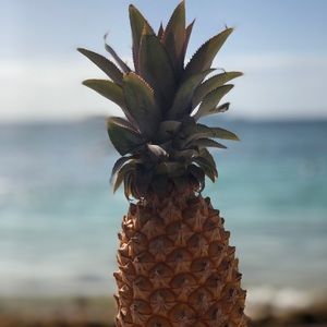 Meet your Posher, Creah